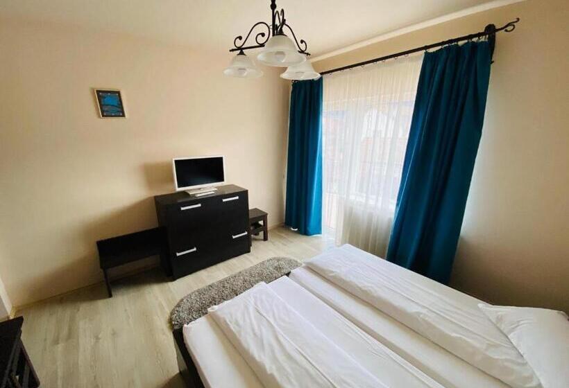 غرفة قياسية, Vila Old Cars