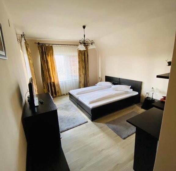 חדר סטנדרט, Vila Old Cars