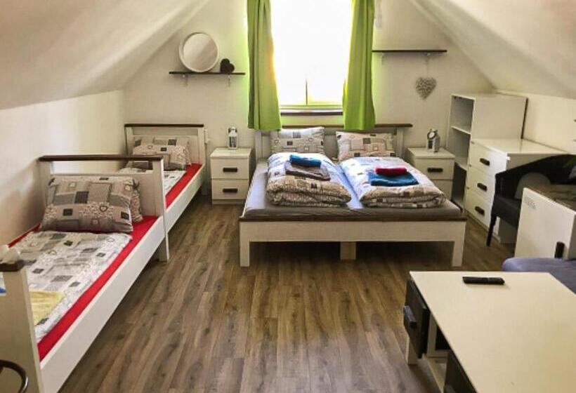 חדר סטנדרט לארבעה, Penzion Domanín