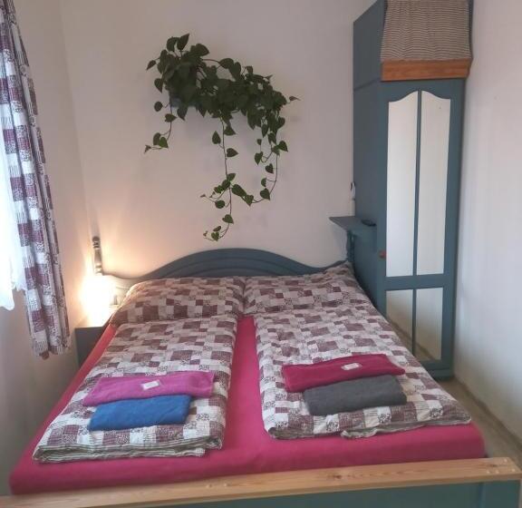 חדר אקונומי, Penzion Domanín