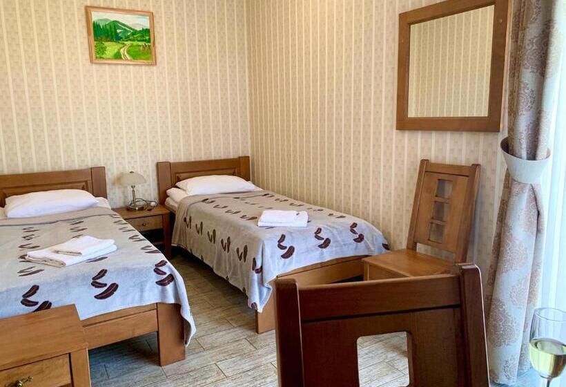 اتاق استاندارد با چشم‌انداز, Mini Hotel Solnce Karpat