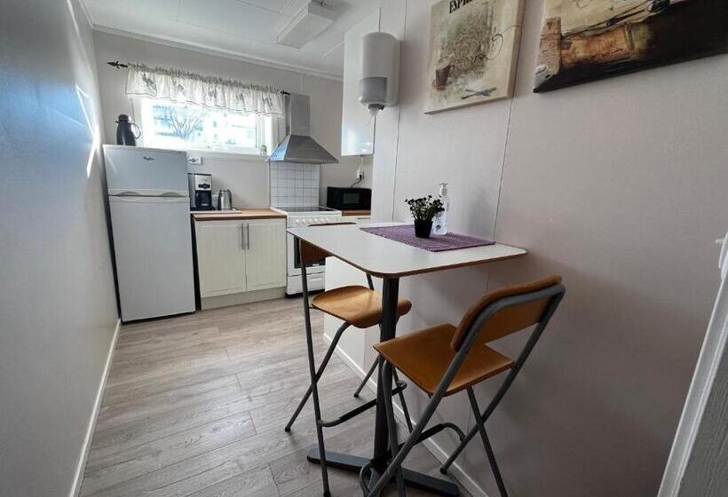 带1个卧室的公寓, Midnattsol Rom Og Hytter