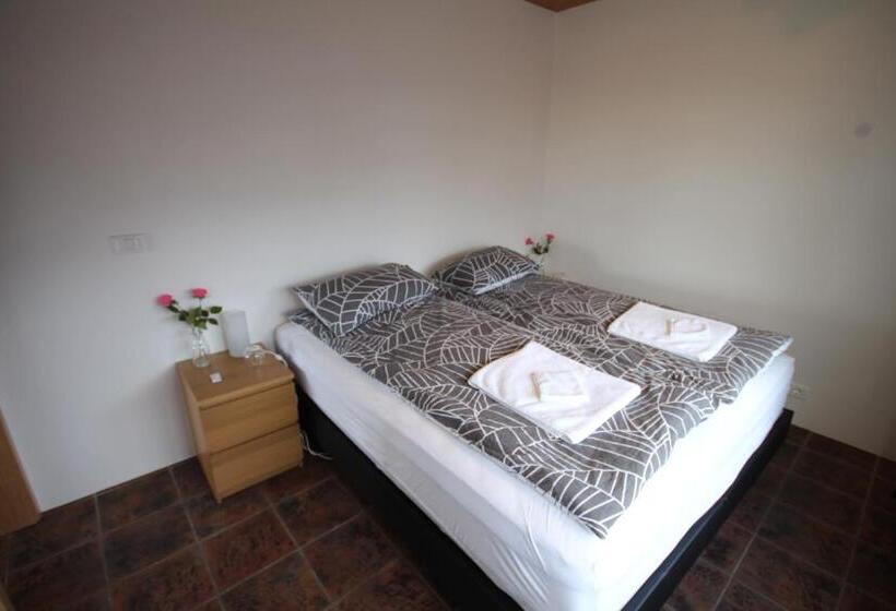 اتاق استاندارد با سرویس بهداشتی مشترک, Hamrahlíð 9 Guesthouse