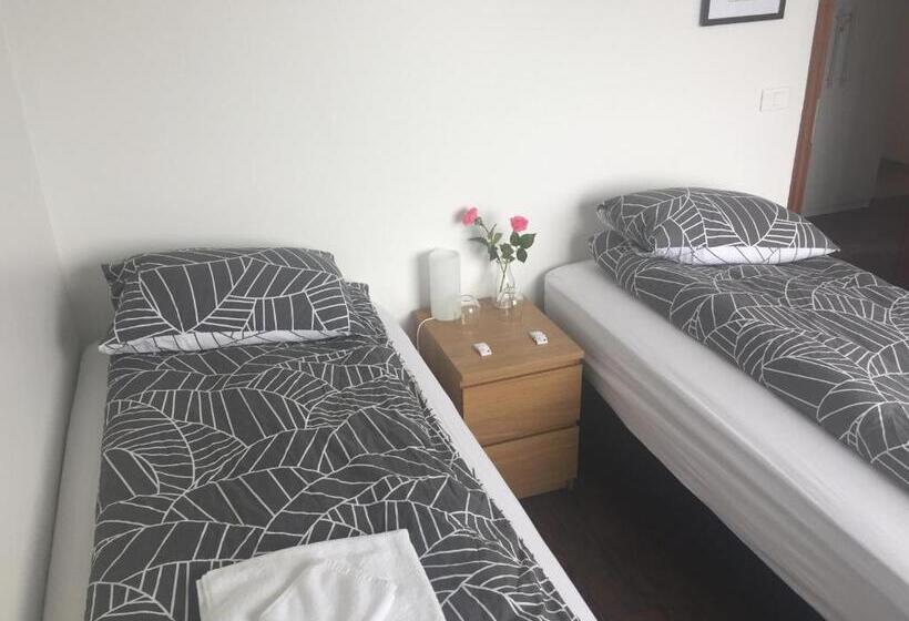 اتاق استاندارد با سرویس بهداشتی مشترک, Hamrahlíð 9 Guesthouse