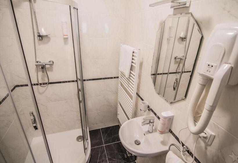 Номер Стандарт Индивидуальный, Pension Viktorin