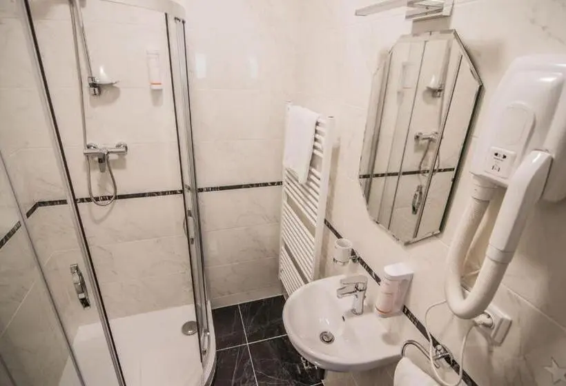 Standard Yhden Hengen Huone, Pension Viktorin