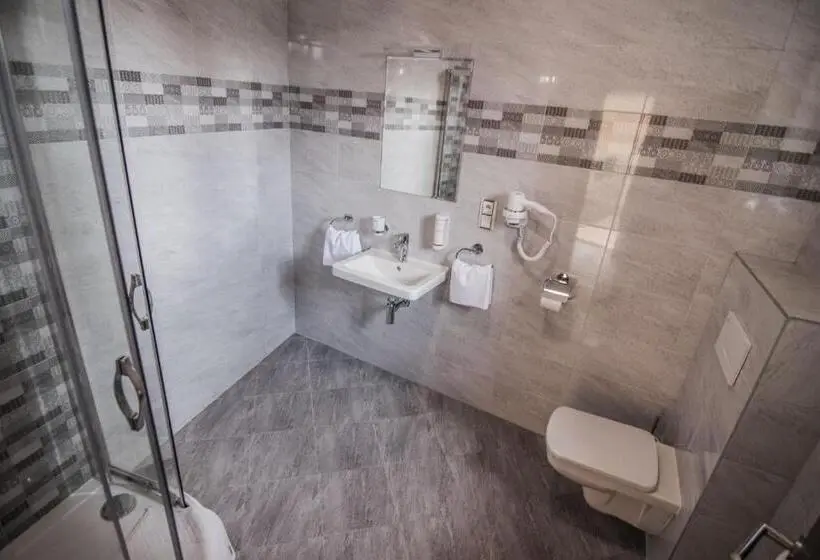 Standard-huone, Pension Viktorin