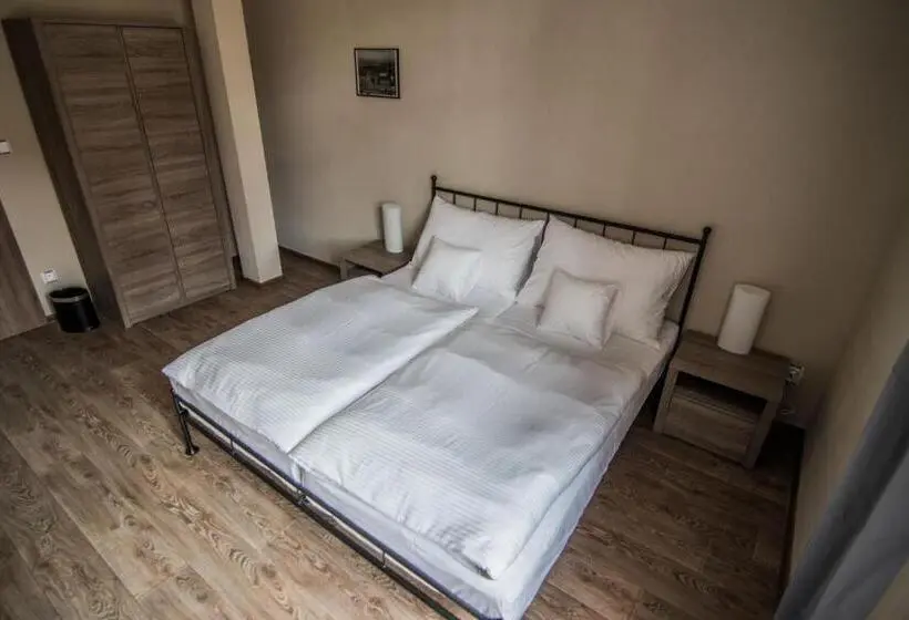 Standard-huone, Pension Viktorin