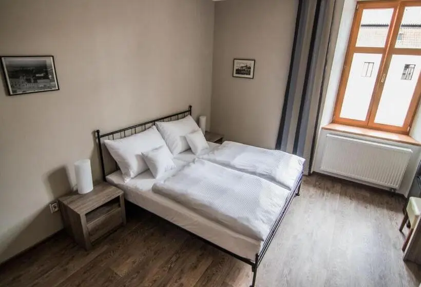 Standard-huone, Pension Viktorin