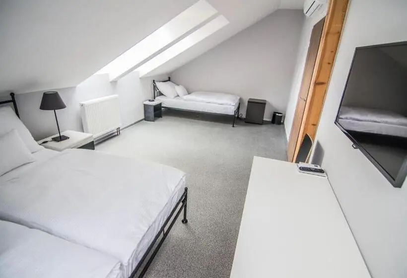 Standard Kolmen Hengen Huone, Pension Viktorin