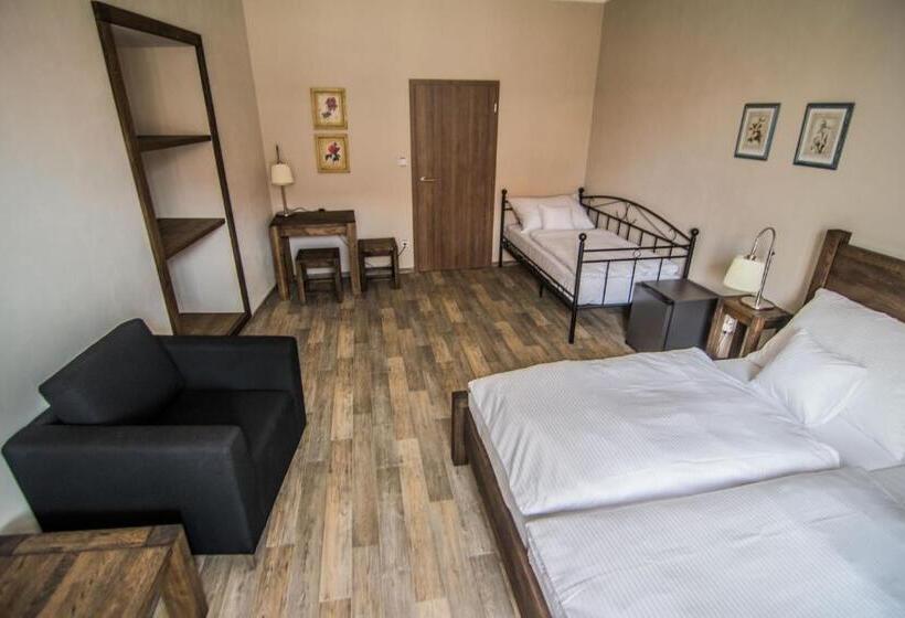 Номер Стандарт Трехместный, Pension Viktorin