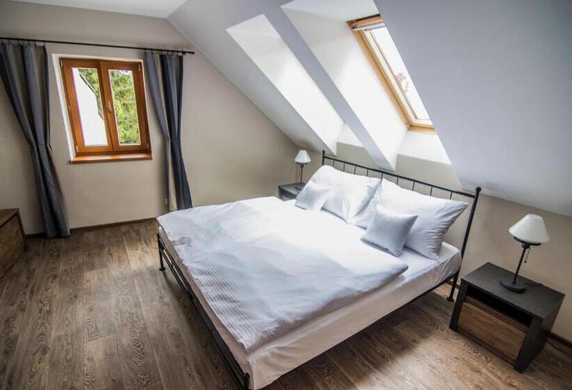 Люкс, Pension Viktorin