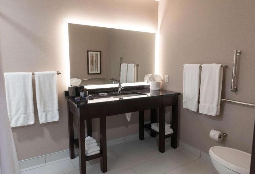 身障者適用スタンダードルーム, Wingate By Wyndham Angola