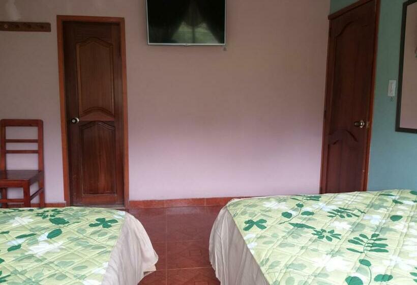 Chambre Standard, Mónaco