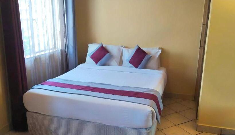 Estúdio Standard, Plus254