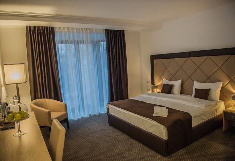 اتاق استاندارد با تخت بزرگ, Bernardazzi Grand