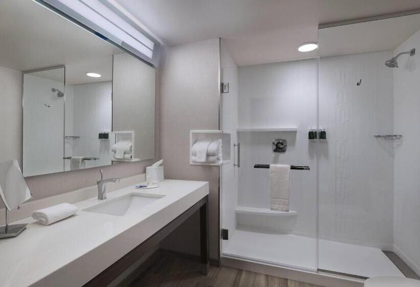 Номер Стандарт Кровать Кинг Адаптированный для Инвалидов, Courtyard St. Louis Brentwood