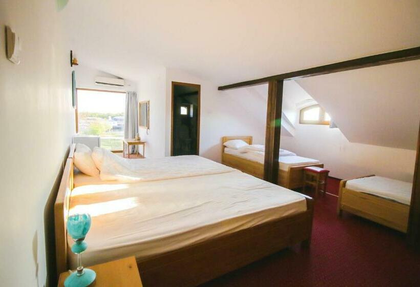 اتاق خانوادگی, Zen Eco Villa