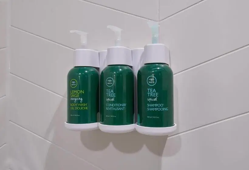 キングサイズベッドのスタンダードルーム, Fairfield Inn & Suites By Marriott Midland