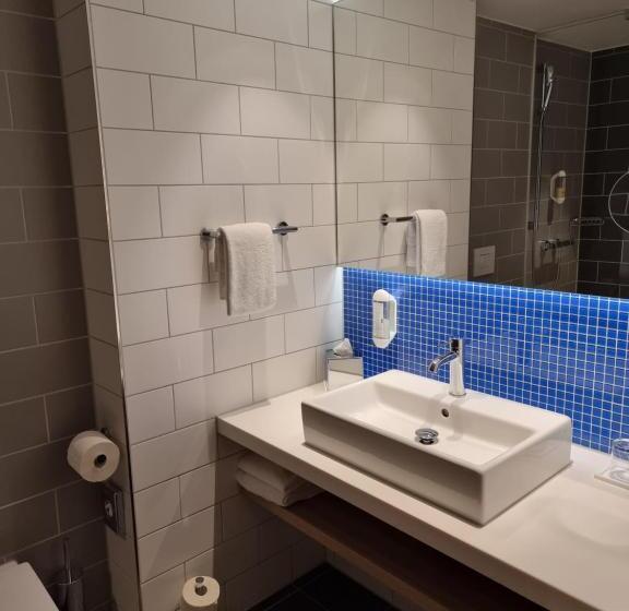 스탠다드 룸, Holiday Inn Express Wiesbaden, An Ihg