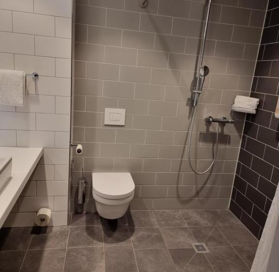 스탠다드 룸, Holiday Inn Express Wiesbaden, An Ihg