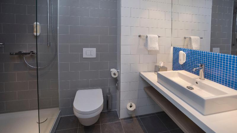 스탠다드 룸, Holiday Inn Express   Wiesbaden, An Ihg