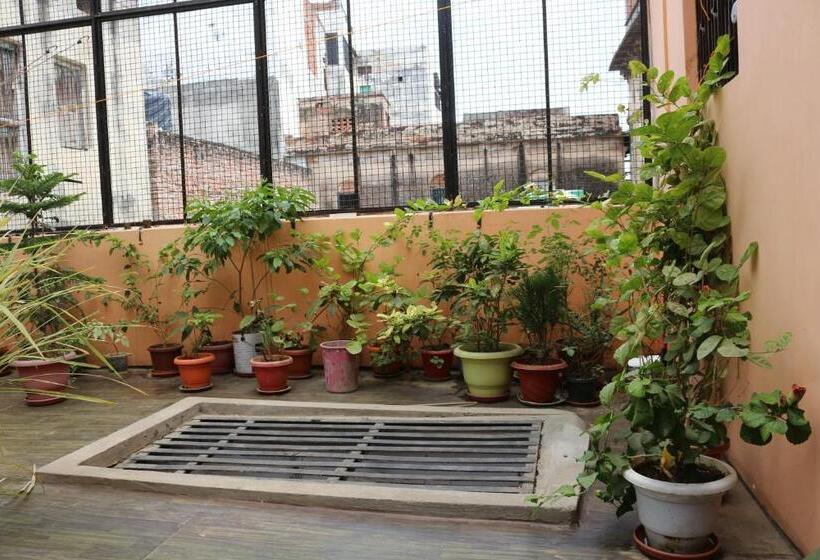 اتاق اکونومی, Mother Hostel