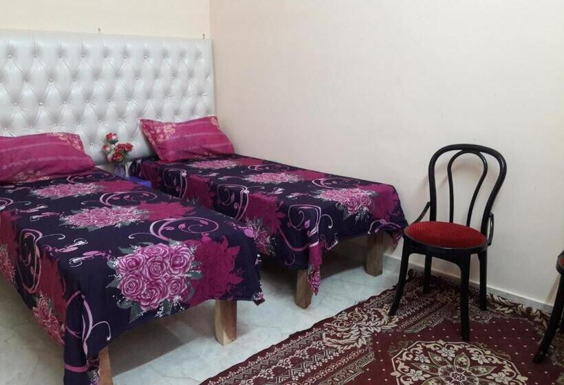 اتاق اکونومی یک تخته, Mother Hostel