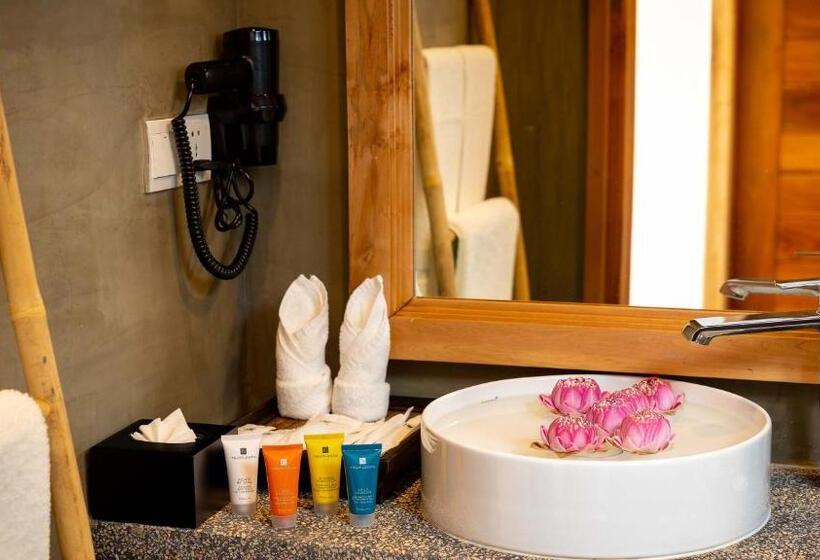 اتاق کلاسیک, Grand Venus La Residence