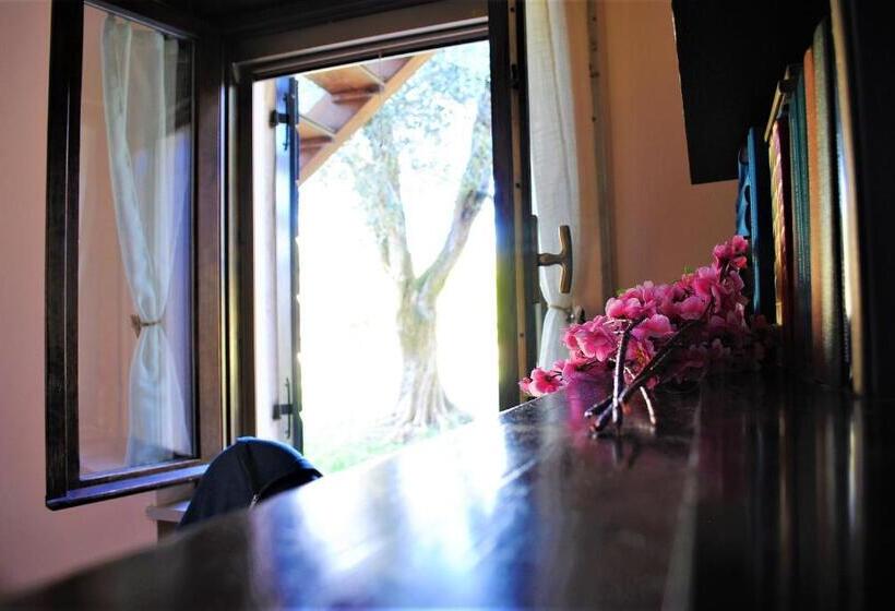 Апартаменты 1 Спальня, Agriturismo Melograno D'oro