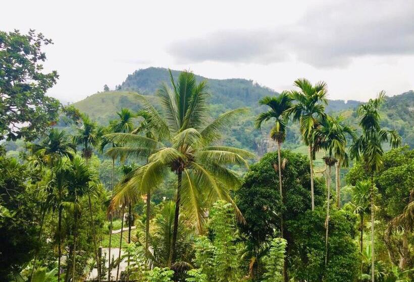 Habitació Deluxe, Ella Elegance View