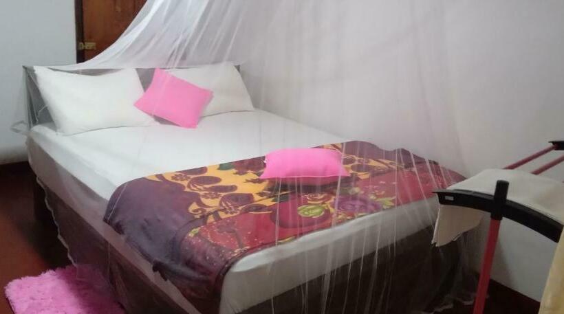 Standard Room, Rainforest Holiday Inn