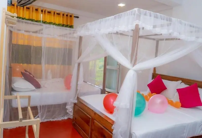 スーペリアファミリールーム, Rainforest Holiday Inn