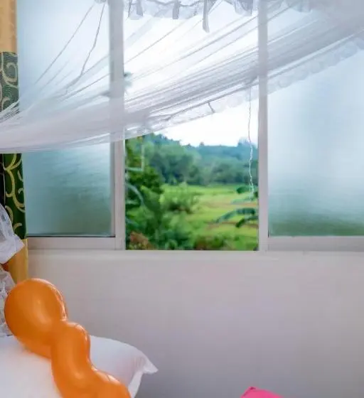 デラックスルーム, Rainforest Holiday Inn