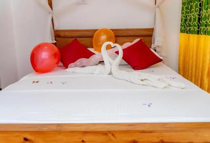 エコノミールーム, Rainforest Holiday Inn
