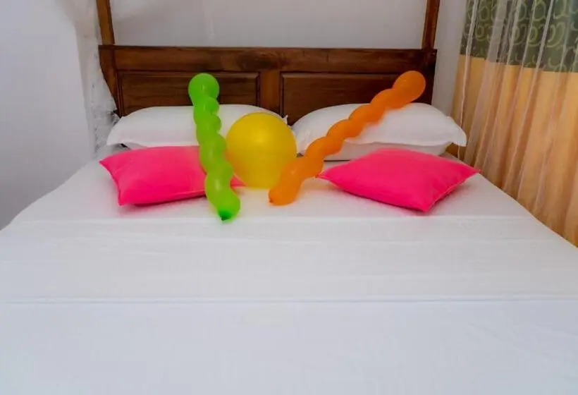 エコノミールーム, Rainforest Holiday Inn