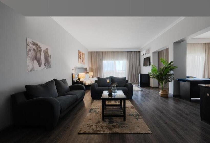 سوئیت با بالکن, Assiut Cement