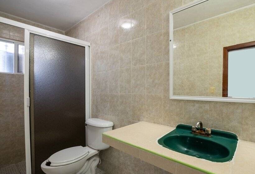 スタンダードルーム, El Faisan Y El Venado