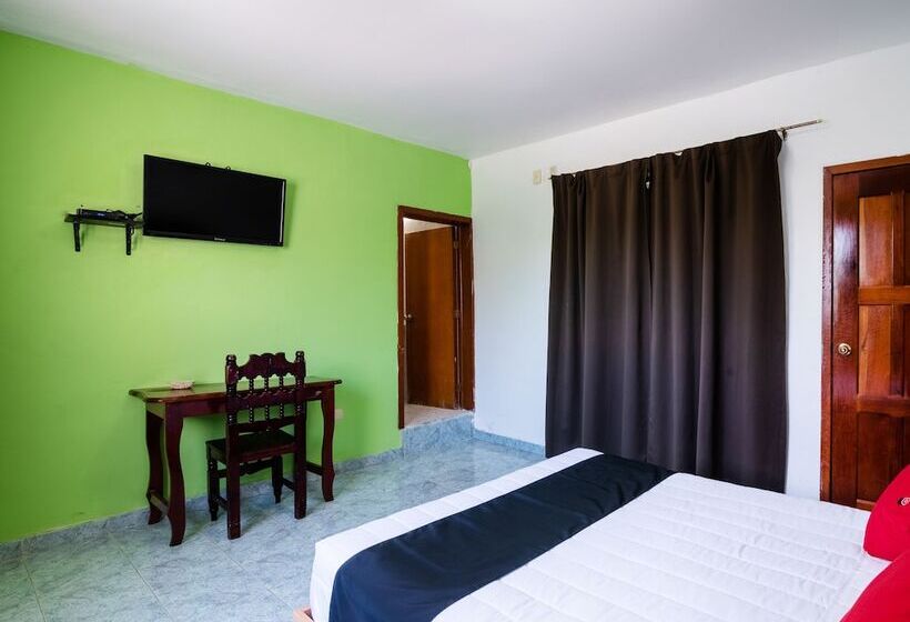 スタンダードルーム, El Faisan Y El Venado