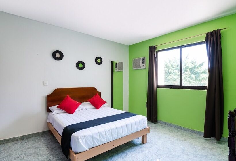 スタンダードルーム, El Faisan Y El Venado