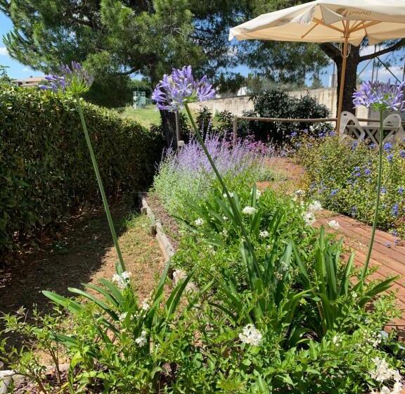 Standard room with outdoor bath, Zia Regina