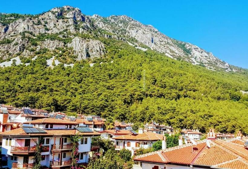 ファミリールーム, Santo Akyaka