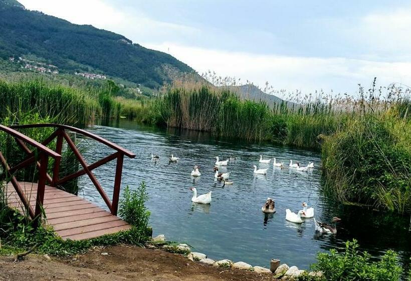 ファミリールーム, Santo Akyaka