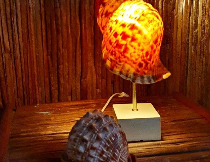 اتاق استاندارد, Ecolodge Le Ravoraha