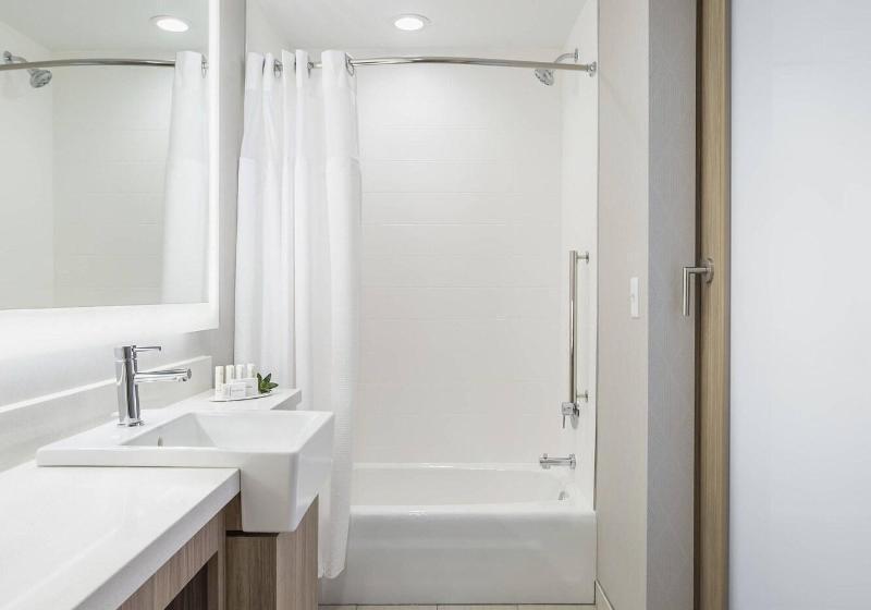 带大床的套房, Springhill Suites Madison