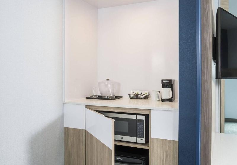 带大床的套房, Springhill Suites Madison