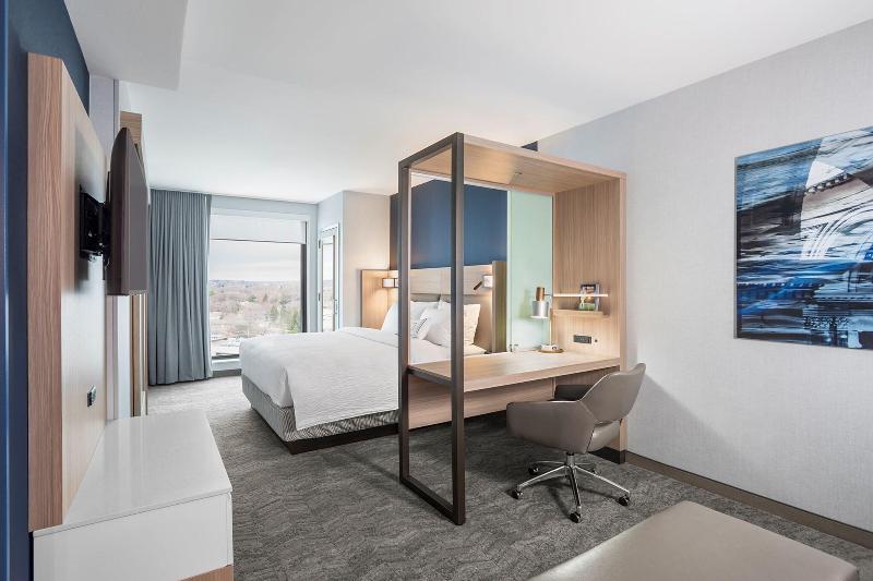 带大床的套房, Springhill Suites Madison