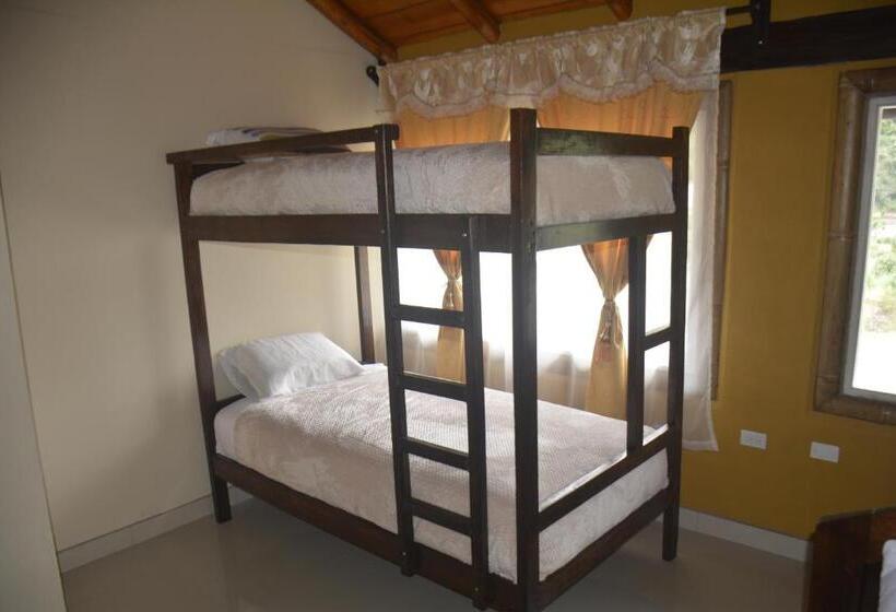 اتاق خانوادگی, Sol De Piedra