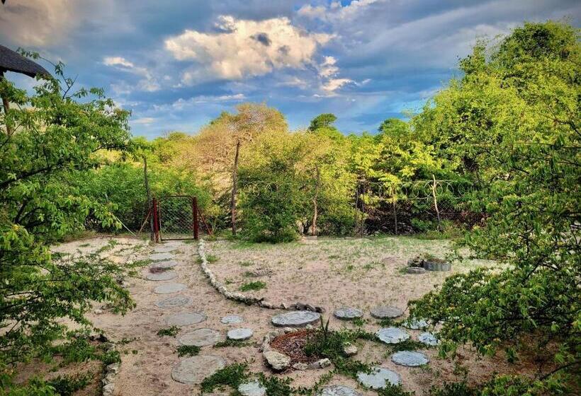 اتاق اکونومی, Eselbe Camp Backpackers