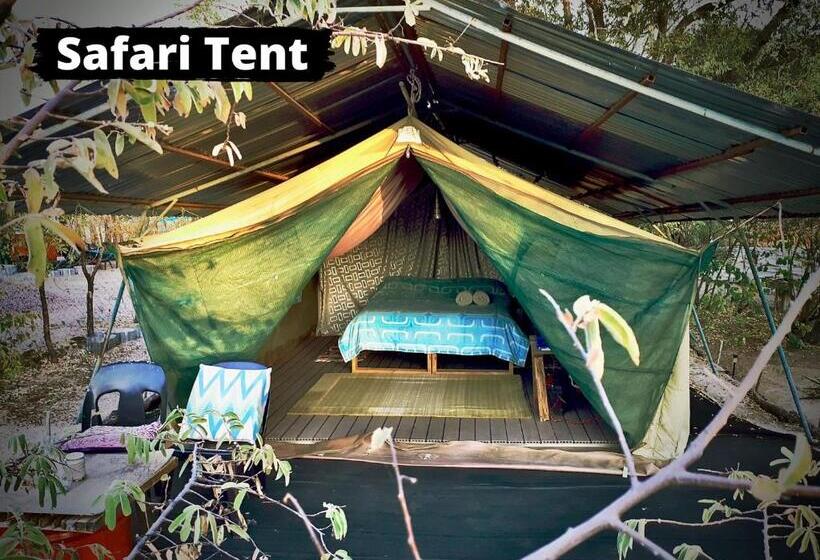 اتاق اکونومی, Eselbe Camp Backpackers